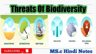 Threats of Biodiversity msc hindi notesBiodiversity [upl. by Budge]