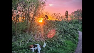 Beeston Marina to Attenborough Nature Reserve Walking Tour 4k 50 Min [upl. by Harte]