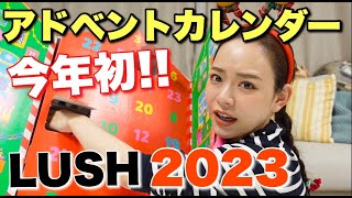 【驚愕】資生堂アドベントカレンダー開封！ついに日本国内発売されましたがラストが衝撃すぎて頭真っ白ww【SHISEIDO 2022】 [upl. by Enayr]