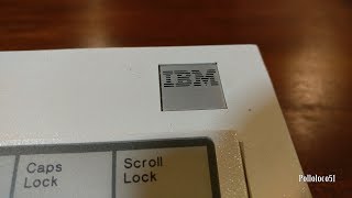 IBM Model M 1390131 Keyboard  First Look [upl. by Elmer]