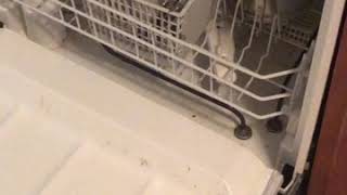 Hotpoint dishwasher how to start  guide [upl. by Candace744]