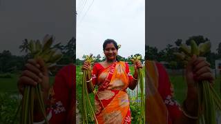 shapla recipe❤  Shaplar vella vaja  shaplar bora  bengali recipe  village food bengalifood [upl. by Otanod]