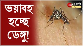 Dengue Alert রাজ্যে বাড়ল ডেঙ্গি আক্রান্তের সংখ্যা সবচেয়ে বেশি প্রকোপ হাওড়ায় বাড়ল কলকাতাতেও [upl. by Lane626]