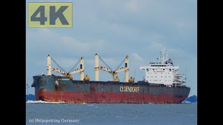 GEBE OLDENDORFF  Shipspotting Germany 🇩🇪 IMO 9727596  River Elbe near City Otterndorf  4K VIDEO [upl. by Annawahs]