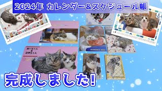 キジトラ猫リキちゃんの2024年のカレンダーができました☆猫カレンダーの紹介☆卓上カレンダー情報も！リキちゃん・ガーちゃん・ゴマちゃん【リキちゃんねる 猫動画】Cat video キジトラ猫との暮らし [upl. by Nowtna]