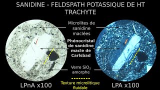 Sanidine  Feldspath potassique HT maclé Carlsbad dans trachyte en LPnA vs LPA x 100 [upl. by Munshi]