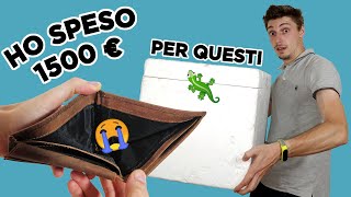 Ho speso 1500 euro per i nuovi gechi [upl. by Bobette898]