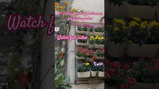 winter flowering plants gardeningaesthetics gardening winterfloweringplant [upl. by Yedok]