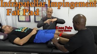 Infrapatellar Fat Pad Knee Pain Hoffas Syndrome Clinical Treatment  Dr Mandell [upl. by Eelymmij242]