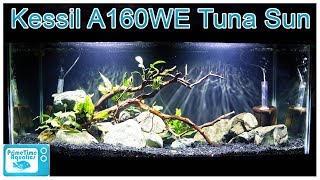 Kessil A160WE Tuna Sun Aquarium Light Review What A HighQuality Light Did to Our Fish Tank [upl. by Morly]