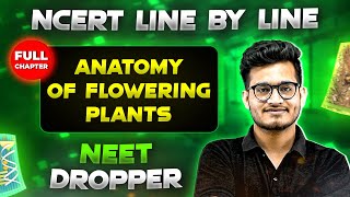 Anatomy of Flowering Plants FULL CHAPTER  NCERT Class 11th Botany  Chapter 5  Yakeen NEET [upl. by Hedwig]