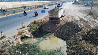 Awesome operator skill bulldozer pushing stone and soil filling land near the pipe with dump trucks [upl. by Oelc]