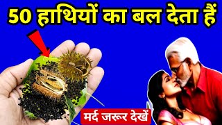 सौ दुखों की एक दवाई ये पौधा 10 घोड़ों का शक्ति देता हैं  plant benefits Chhota dhatura [upl. by Selina]