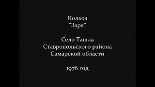 Колхоз Заря село Ташла 1976 год [upl. by Aksoyn]