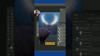 Efekt rozświetlenia na zwierzętach photoshop [upl. by Neehar100]
