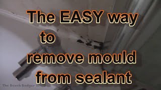 The easy way to remove mould from bathroom sealant still works in 2024 [upl. by Aekerly152]