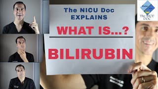 What is Jaundice and Bilirubin in Newborns The NICU Doc explains [upl. by Ahasuerus]