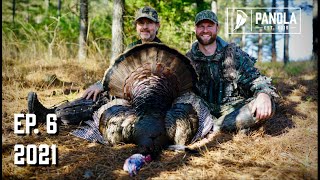 2021 EP 6 SUNRISE SERVICE w GOBBLERS Turkey Hunting in Alabama Pines [upl. by Romney]