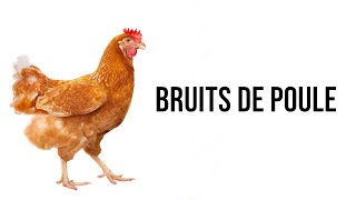 Bruits de poule pour attirer une poule [upl. by Onitnevuj]