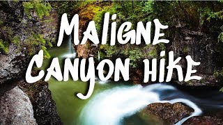 Maligne Canyon Hike  Jasper National Park Alberta Canada [upl. by Nolava170]