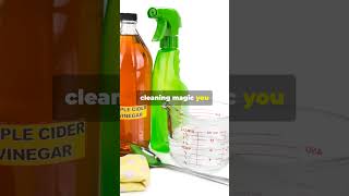 This Viral Cleaning Hack is a LIE cleaning [upl. by Airret]