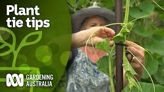 Avoid plant damage by choosing the right plant ties  Gardening Hacks  Gardening Australia [upl. by Namruht173]