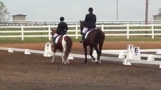 Training Level Dressage Pas De Deux [upl. by Fatimah689]