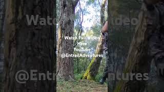 Wild camping with Friends wildcamping adventure 360camera camping drone shorts [upl. by Marianna173]