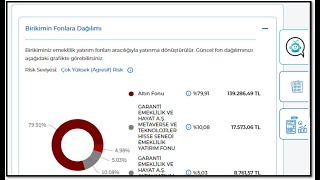 Fonmatik Robot kullanarak risk profilini belirleme Fon dağılım değişikliği [upl. by Surtemed920]