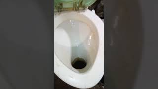 Close Coupled 1960s Soviet Sitting Washout WC toilet SETUP [upl. by Krenek]