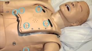 Lung Assessment on SimMan [upl. by Eillo964]