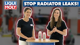 STOP RADIATOR LEAKS With A SIMPLE ADDITIVE [upl. by Knorring]