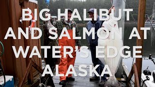 Big Halibut and Salmon Fishing in Elfin Cove Alaska [upl. by Reena]