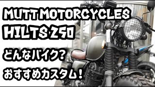 【MUTT MOTORCYCLES HILTS 250】どんなバイク？おすすめカスタム！  マットモーターサイクルズ ヒルツ250 Motovlog [upl. by Nnaxor]