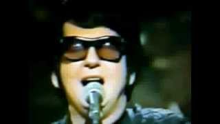 Roy Orbison Crying from SNL [upl. by Naynek16]