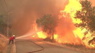 2000 bomberos movilizados para combatir incendios en Portugal [upl. by Andromada]