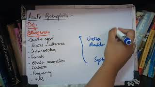 RENAL PATHOLOGY lecture 13a ACUTE PYELONEPHRITIS must watch to get it [upl. by Niraj]