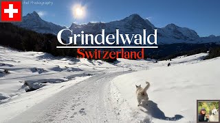 A winter trip to Grindelwald  Bernese Oberland  Switzerland 4K [upl. by Darda946]