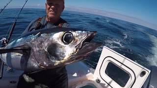 INSANE Oregon Coast Albacore Tuna Fishing [upl. by Fitzpatrick]