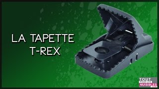 Les tapettes à souris TRex [upl. by Solokin185]