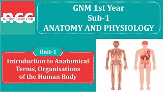 GNM  111  INTRODUCTION TO ANATOMICAL TERMS amp ORGANISATIONS OF THE HUMAN BODY [upl. by Ellenehs]