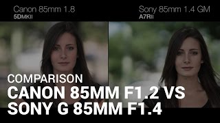 Comparison Canon 85mm f12 VS Sony G Master 85mm f14 [upl. by Ravens202]