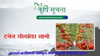 आजको माछाफलफूल तथा तरकारीको मूल्य हेर्नुहोस्  Kalimati Vegetable and Fruits Rate Today  krishi [upl. by Renrut]