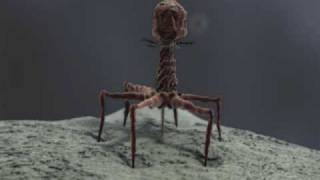 3d Demo Reel bacteriophage T4 and stereocilia  medical animation [upl. by Tirrej976]