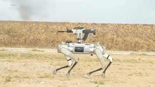 Chinas military shows off rifletoting robot dogs [upl. by Llerrit]