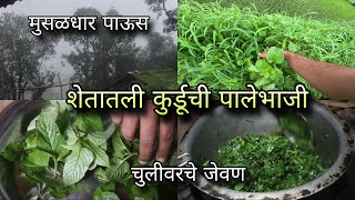 शेतातून आणली कुर्डू भाजी  चुलीवरची पालेभाजी  मुसळधार पाऊस  Kokan vegetables  Kokankar Avinash [upl. by Quenna682]