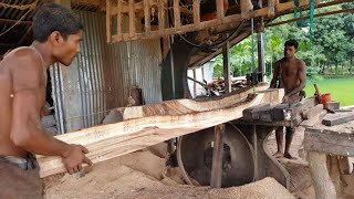 Rain Tree Sawing at Village SawmillToughest Wood Cutting Logging MillLarge amp Quality Wood Sawing [upl. by Eckel109]