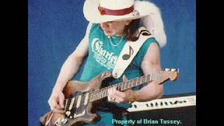 Stevie Ray Vaughan  Taxman amp Honey Bee [upl. by Rozek]