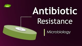 Antibiotic Resistance Mechanisms  Full Lecture  Basic Science Series [upl. by Dlaregztif]