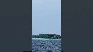 Patina Maldives over water villa shortvideo travel [upl. by Ylrad]